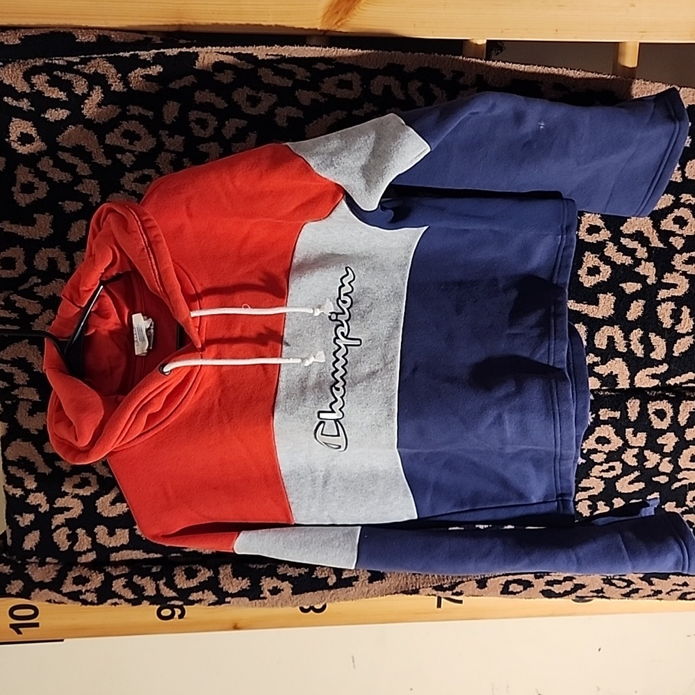 Champion athletic sweatshirt